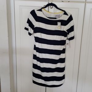Jessica H  Navy blue and white stripe dress